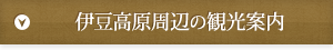 伊豆高原周辺の観光案内