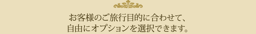 お客様のご旅行目的に合わせて、自由にオプションを選択できます。