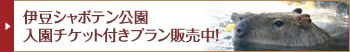 伊豆シャボテン公園 入園チケット付きプラン販売中！